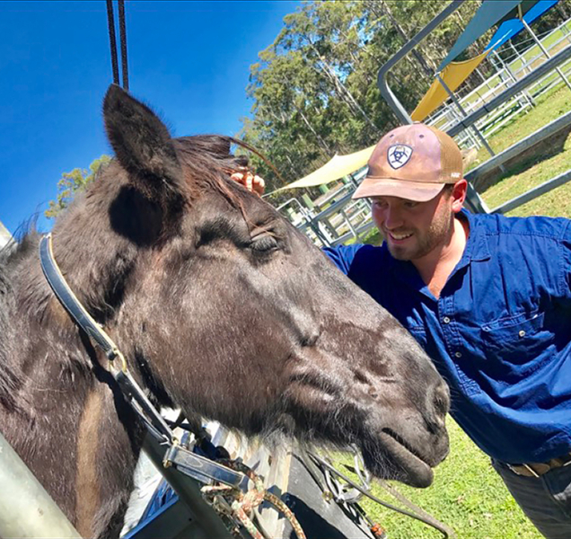 horse treated by joe williams